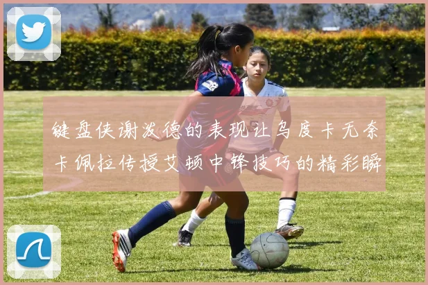 键盘侠谢泼德的表现让乌度卡无奈卡佩拉传授艾顿中锋技巧的精彩瞬间