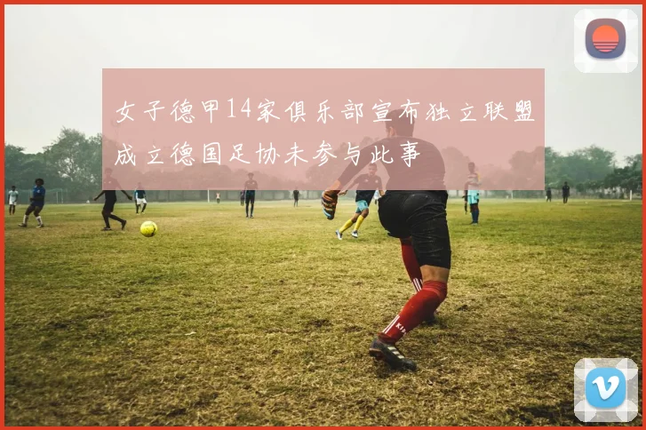 女子德甲14家俱乐部宣布独立联盟成立德国足协未参与此事