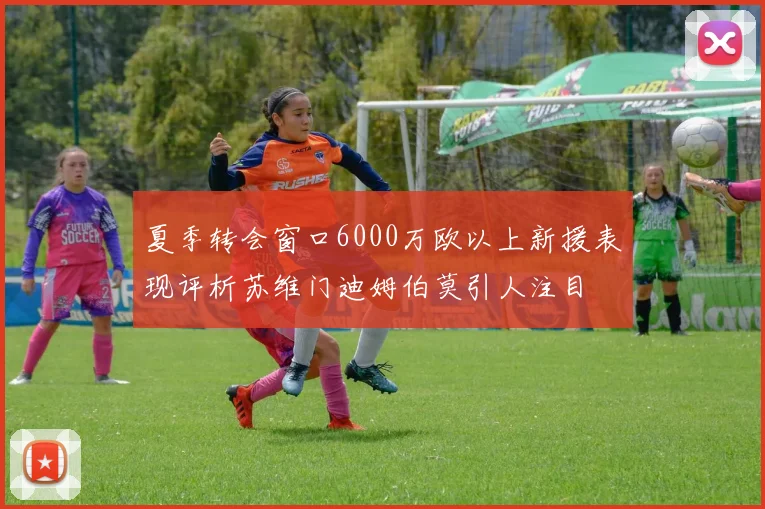 夏季转会窗口6000万欧以上新援表现评析苏维门迪姆伯莫引人注目
