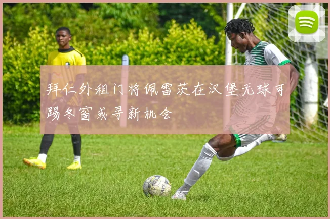 拜仁外租门将佩雷茨在汉堡无球可踢冬窗或寻新机会
